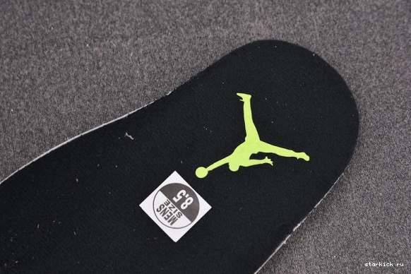 6 CT8529-003  Retro CT8529-003 Electric Jordan Air Green 1221